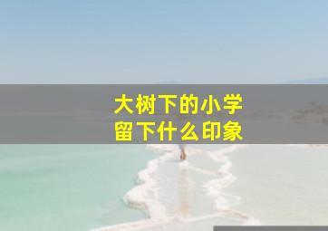 大树下的小学留下什么印象