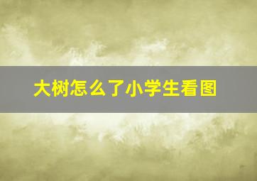 大树怎么了小学生看图