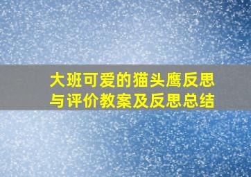 大班可爱的猫头鹰反思与评价教案及反思总结