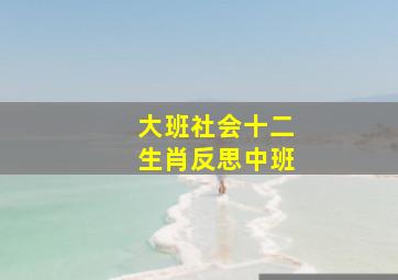 大班社会十二生肖反思中班