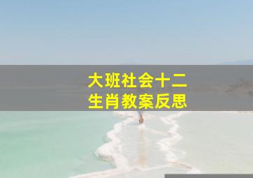 大班社会十二生肖教案反思