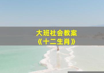 大班社会教案《十二生肖》