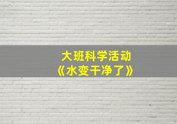 大班科学活动《水变干净了》