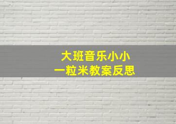 大班音乐小小一粒米教案反思