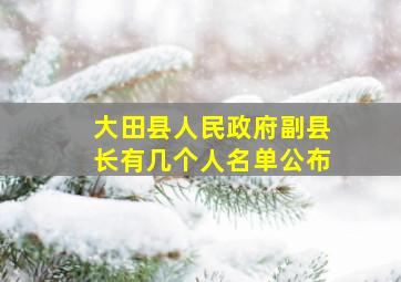 大田县人民政府副县长有几个人名单公布