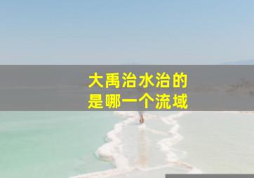 大禹治水治的是哪一个流域