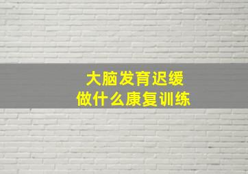 大脑发育迟缓做什么康复训练