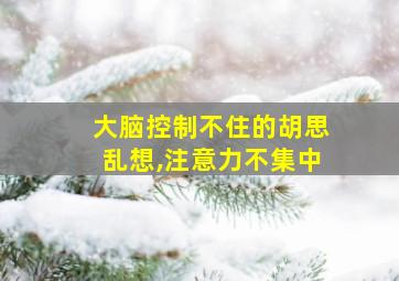 大脑控制不住的胡思乱想,注意力不集中