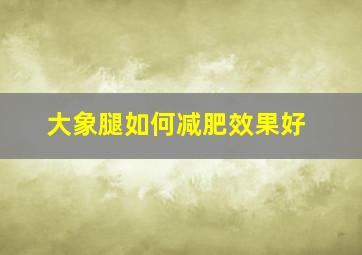 大象腿如何减肥效果好