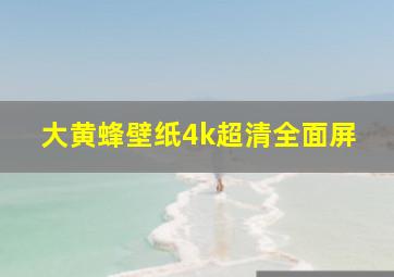 大黄蜂壁纸4k超清全面屏