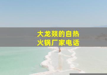 大龙燚的自热火锅厂家电话