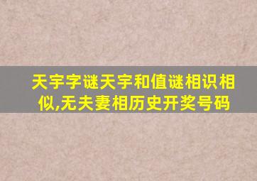 天宇字谜天宇和值谜相识相似,无夫妻相历史开奖号码