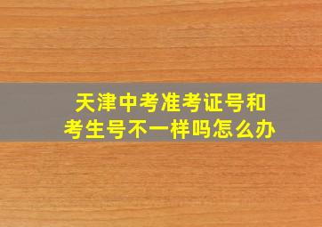 天津中考准考证号和考生号不一样吗怎么办