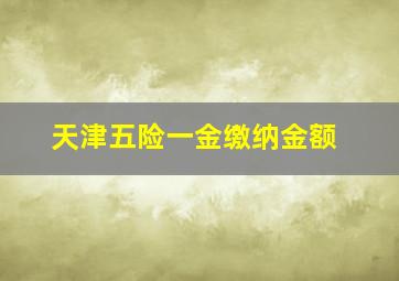 天津五险一金缴纳金额