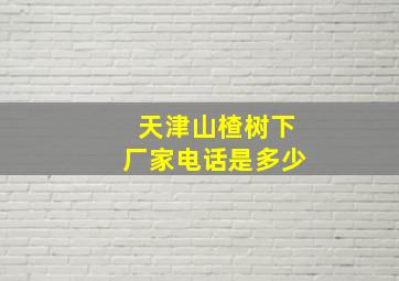 天津山楂树下厂家电话是多少