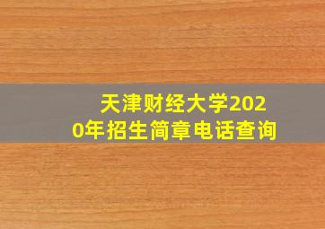 天津财经大学2020年招生简章电话查询