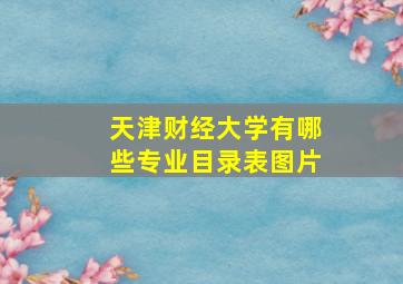 天津财经大学有哪些专业目录表图片