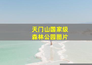 天门山国家级森林公园图片