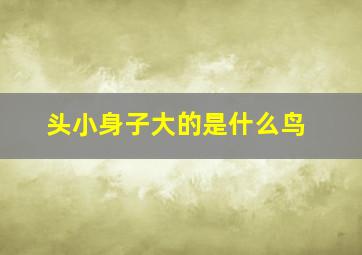 头小身子大的是什么鸟