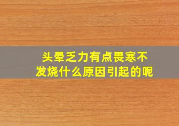 头晕乏力有点畏寒不发烧什么原因引起的呢