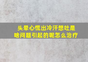 头晕心慌出冷汗想吐是啥问题引起的呢怎么治疗