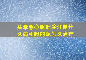 头晕恶心呕吐冷汗是什么病引起的呢怎么治疗