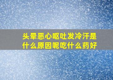 头晕恶心呕吐发冷汗是什么原因呢吃什么药好