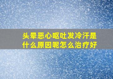 头晕恶心呕吐发冷汗是什么原因呢怎么治疗好