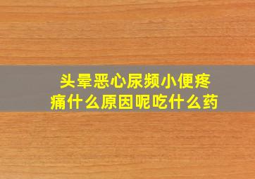 头晕恶心尿频小便疼痛什么原因呢吃什么药