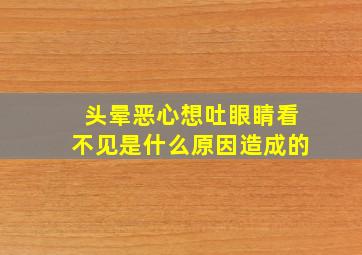 头晕恶心想吐眼睛看不见是什么原因造成的