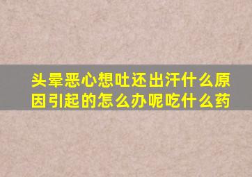 头晕恶心想吐还出汗什么原因引起的怎么办呢吃什么药