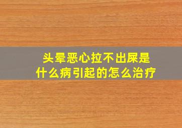 头晕恶心拉不出屎是什么病引起的怎么治疗