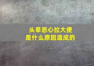 头晕恶心拉大便是什么原因造成的