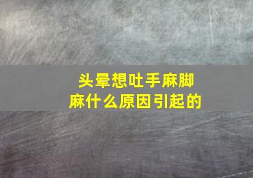 头晕想吐手麻脚麻什么原因引起的