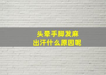 头晕手脚发麻出汗什么原因呢