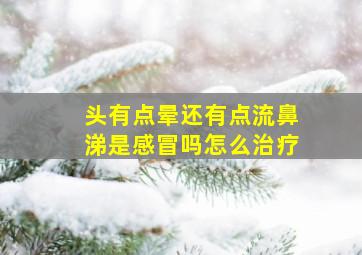 头有点晕还有点流鼻涕是感冒吗怎么治疗