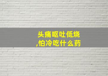 头痛呕吐低烧,怕冷吃什么药