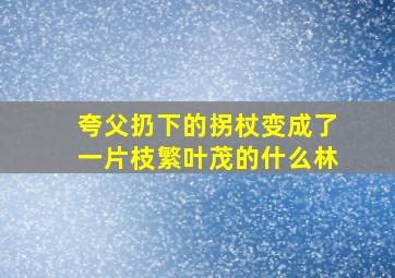 夸父扔下的拐杖变成了一片枝繁叶茂的什么林