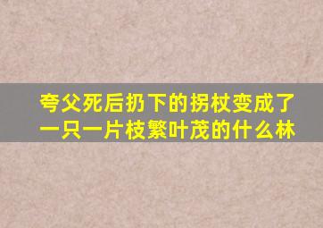 夸父死后扔下的拐杖变成了一只一片枝繁叶茂的什么林