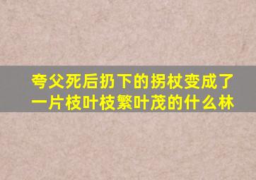 夸父死后扔下的拐杖变成了一片枝叶枝繁叶茂的什么林