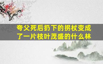 夸父死后扔下的拐杖变成了一片枝叶茂盛的什么林