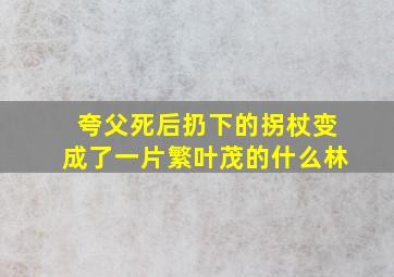 夸父死后扔下的拐杖变成了一片繁叶茂的什么林