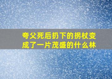 夸父死后扔下的拐杖变成了一片茂盛的什么林