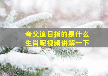 夸父追日指的是什么生肖呢视频讲解一下