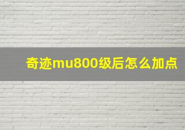 奇迹mu800级后怎么加点