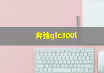 奔弛glc300l