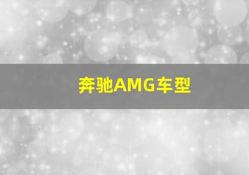 奔驰AMG车型