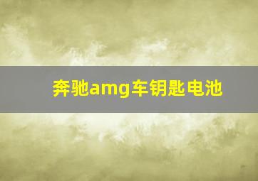 奔驰amg车钥匙电池