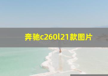 奔驰c260l21款图片