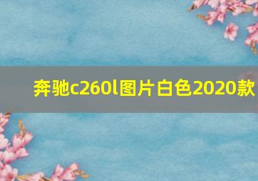 奔驰c260l图片白色2020款